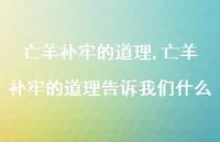亡羊补牢的道理告诉我们什么【100句文案精选】 亡羊补牢的道理告诉我们什么【100句文案精选】