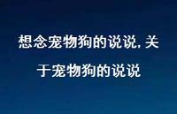 关于宠物狗的说说【精选100句】 关于宠物狗的说说【精选100句】