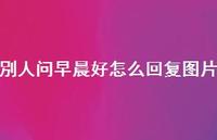 別人问早晨好怎么回复图片51句汇总 別人问早晨好怎么回复图片51句汇总