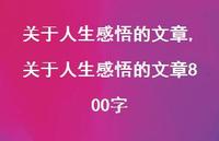 关于人生感悟的文章800字【100句文案精选】