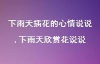 下雨天欣赏花说说(100句)