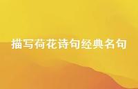 描写荷花诗句经典名句(精选69句)