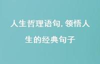 领悟人生的经典句子【100句文案精选】