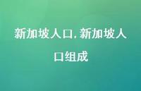 新加坡人口组成(100句)