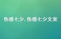 伤感七夕文案【精品文案100句】