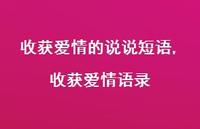 收获爱情语录【100句文案】 收获爱情语录【100句文案】