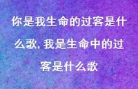 我是生命中的过客是什么歌【精选100句】