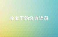 收麦子的经典语录【100句精选短句合集】