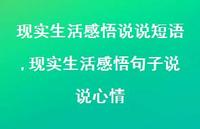 现实生活感悟句子说说心情(100句) 现实生活感悟句子说说心情(100句)