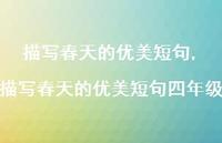 描写春天的优美短句四年级【100句文案精选】