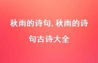 秋雨的诗句古诗大全【精品文案100句】
