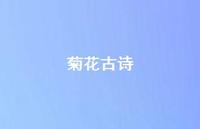 菊花古诗72句汇总