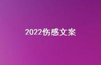 2022伤感文案68句汇总 2022伤感文案68句汇总