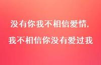 我不相信你没有爱过我(100句) 我不相信你没有爱过我(100句)