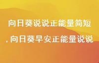 向日葵早安正能量说说【100句文案】 向日葵早安正能量说说【100句文案】