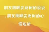 朋友圈晒发财树的心情短语(100句) 朋友圈晒发财树的心情短语(100句)