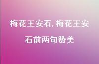 梅花王安石前两句赞美【精品文案100句】 梅花王安石前两句赞美【精品文案100句】