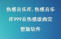 伤感音乐库999首伤感歌曲完整版软件(43句)