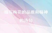 描写梅花的品质和精神的诗句(精选62句)