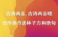 古诗两首晓出净慈寺送林子方和绝句【100句文案精选】 古诗两首晓出净慈寺送林子方和绝句【100句文案精选】