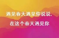 在这个春天遇见你(100句)