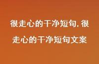 很走心的干净短句文案【精品文案100句】
