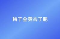 梅子金黄杏子肥72句汇总