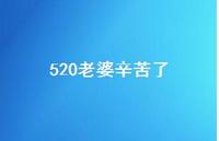 520老婆辛苦了【100句精选短句合集】