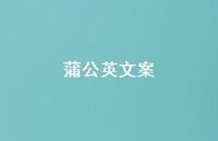蒲公英文案【100句精选短句合集】 蒲公英文案【100句精选短句合集】