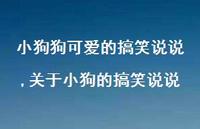 关于小狗的搞笑说说(100句) 关于小狗的搞笑说说(100句)