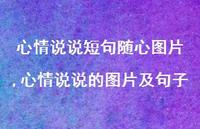 心情说说的图片及句子【100句文案】 心情说说的图片及句子【100句文案】