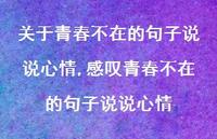 感叹青春不在的句子说说心情(100句)