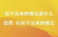 有说不出来的感觉(100句) 有说不出来的感觉(100句)