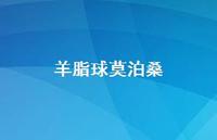 羊脂球莫泊桑37句汇总