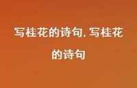 写桂花的诗句【精品文案100句】