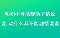 动什么都不能动情说说【精选100句】 动什么都不能动情说说【精选100句】