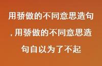 用骄傲的不同意思造句自以为了不起【精品文案100句】