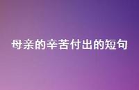母亲的辛苦付出的短句(精选75句) 母亲的辛苦付出的短句(精选75句)