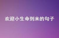欢迎小生命到来的句子50句汇总