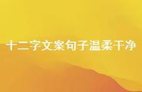 十二字文案句子温柔干净【100句精选短句合集】 十二字文案句子温柔干净【100句精选短句合集】