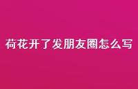 荷花开了发朋友圈怎么写52句汇总 荷花开了发朋友圈怎么写52句汇总