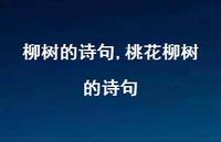 桃花柳树的诗句【100句文案精选】 桃花柳树的诗句【100句文案精选】