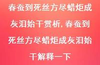 春蚕到死丝方尽蜡炬成灰泪始干解释一下【精品文案100句】 春蚕到死丝方尽蜡炬成灰泪始干解释一下【精品文案100句】