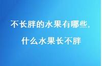 什么水果长不胖【100句文案】 什么水果长不胖【100句文案】