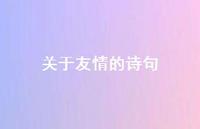 关于友情的诗句38句汇总