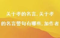 关于孝的名言警句有哪些,加作者【精品文案100句】 关于孝的名言警句有哪些,加作者【精品文案100句】