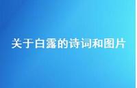 关于白露的诗词和图片(精选72句) 关于白露的诗词和图片(精选72句)