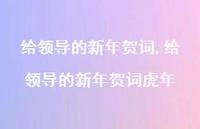 给领导的新年贺词虎年【100句文案精选】