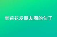 赏荷花发朋友圈的句子69句汇总