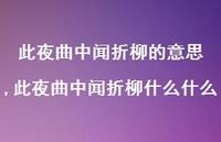 此夜曲中闻折柳什么什么【精品文案100句】 此夜曲中闻折柳什么什么【精品文案100句】
